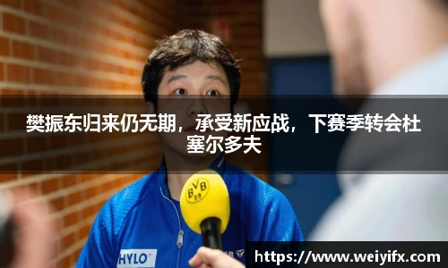 樊振东归来仍无期，承受新应战，下赛季转会杜塞尔多夫